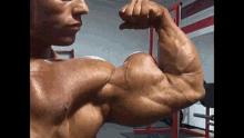 Biceps Big GIF - Biceps Big Posing GIFs