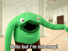 Hello But I'M Not Sorry Mr Frog GIF - Hello But I'M Not Sorry Mr Frog Smiling Friends GIFs