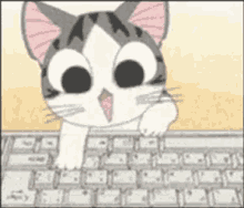 Cat Excited GIF - Cat Excited Type GIFs