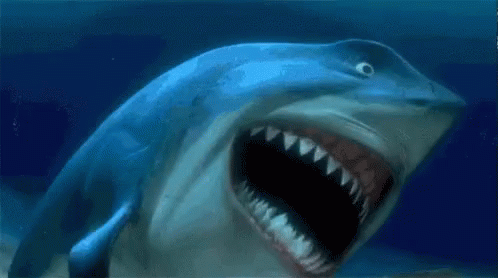 Bruce Shark GIF - Bruce Shark Finding Nemo GIFs