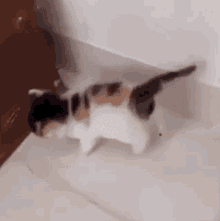 Cat Ahbenah GIF - Cat Ahbenah Slumv GIFs