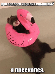 a ferret wearing a pink flamingo float with a caption in russian