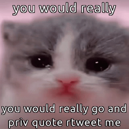 Animals With Captions Sad Cat GIF - Animals With Captions Sad Cat Crying  Cat - Discover & Share GIFs