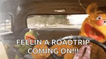 Driving Truck GIF