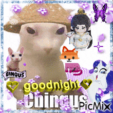 a picture of a hamster wearing a straw hat says goodnight