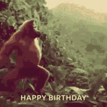 Happy Birthday Monkey GIF - Happy Birthday Monkey Happy GIFs