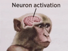 Neuron Activation GIF - Neuron Activation GIFs