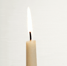 a white candle with a brown wick is lit