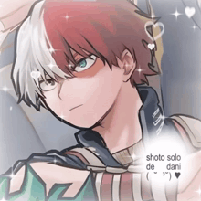 a drawing of a boy with the words shoto solo de dani above him