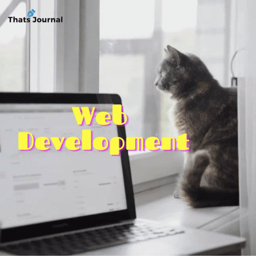 cat gif typing on a keyboard, tenor