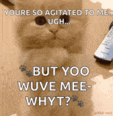 a kitten is sitting next to a remote control and says you 're so agitated to me ugh