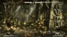 a video game with kano and mileena fighting