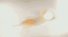 Shakira Egg GIF - Shakira Egg Lick GIFs