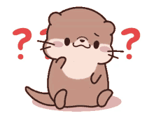 confused face look otter cute