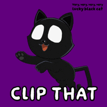 a very very very very lucky black cat is clip that