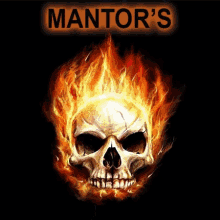 Mantor Mantors GIF - Mantor Mantors Mortais GIFs