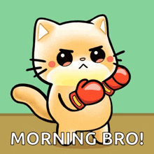 a cartoon of a cat wearing boxing gloves with the words morning bro on the bottom