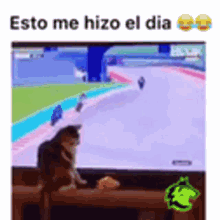 gato motorcycle crash cat day