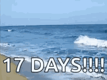 sea beach ocean wave 17days