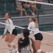 Volleyball Volleyball Girls GIF