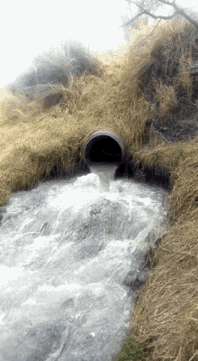 Water Dirty Water GIF