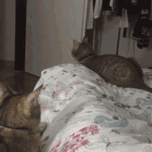 two cats laying on top of a bed with a floral comforter