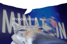 Shoopa Loopa GIF - Shoopa Loopa GIFs