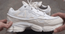 кроссовки Sneakers GIF - кроссовки Sneakers Observe GIFs