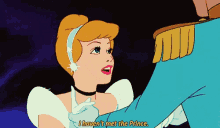 Cinderella I Havent Met The Prince GIF