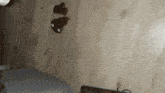a pair of sunglasses is hanging on a wall