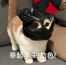 a cat wearing a black bag on its head with chinese writing on it