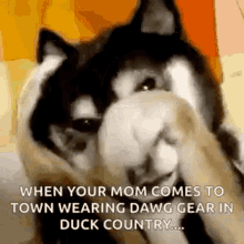Embarrased Disappear GIF - Embarrased Disappear When Your Mom Comes To Town GIFs
