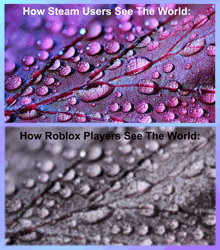 how steam users see the world and how roblox players see the world are displayed