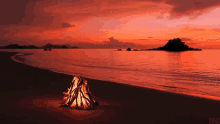 Warm Fire GIF - Warm Fire Flame GIFs