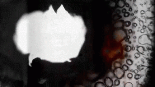 I Bathe In Fire Kate GIF - I Bathe In This Fire Kate Tempest Firesmoke - Discover & Share GIFs