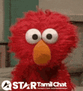 elmo from sesame street with a star tamil chat logo in the background
