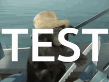 Test Tag Test Monke Boat GIF