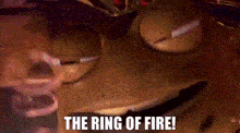 a close up of a cartoon character 's face with the words `` the ring of fire '' .