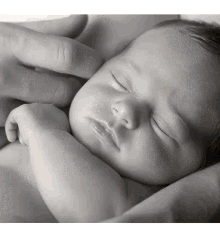 Family Photography Newborn Pictures GIF - Family Photography Newborn Pictures GIFs