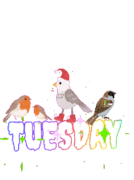 Happy Tuesday Sticker - Happy Tuesday Stickers
