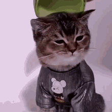 Melon Cat Melon Hat GIF - Melon Cat Melon Hat Hat GIFs
