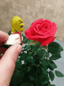 shrek figurine looking at a red rose with a yellow head
