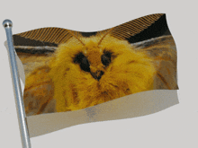 Moth Japanese Silk Moth GIF - Moth Japanese Silk Moth GIFs
