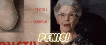 Penis Male Reproductive Organ Austin Powers GIF - Penis Male Reproductive Organ Penis Male GIFs