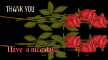 Thank You Have A Nice Day GIF