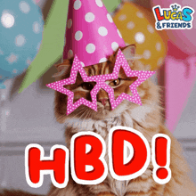 a cat wearing a party hat and sunglasses with the words hbd written in red