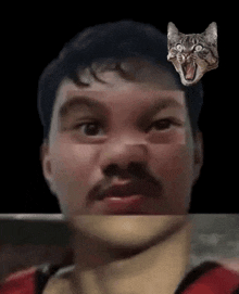 a man with a mustache and a cat 's face on his face .