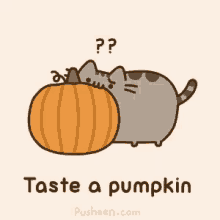 Pumpkin Pusheen GIF - Pumpkin Pusheen Taste A Pumpkin GIFs