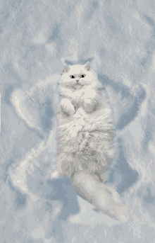 Snow Angel Cat GIF - Snow Angel Cat Gog GIFs