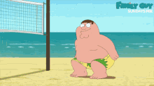 Peter Griffin Beach Volleyball GIF - Peter Griffin Beach Volleyball Game GIFs